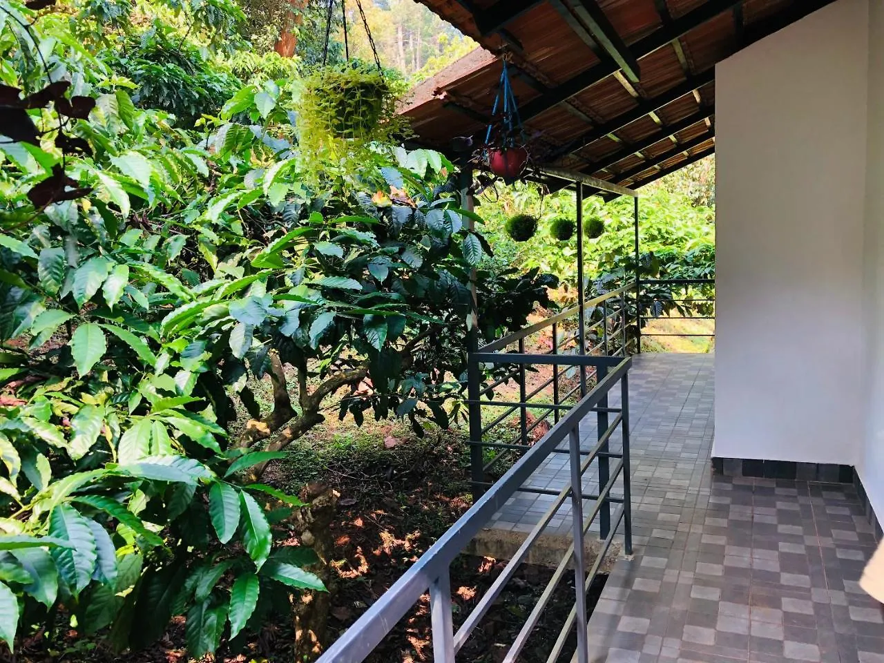 Cg-Ala The Coffee Grove Otel Vythiri