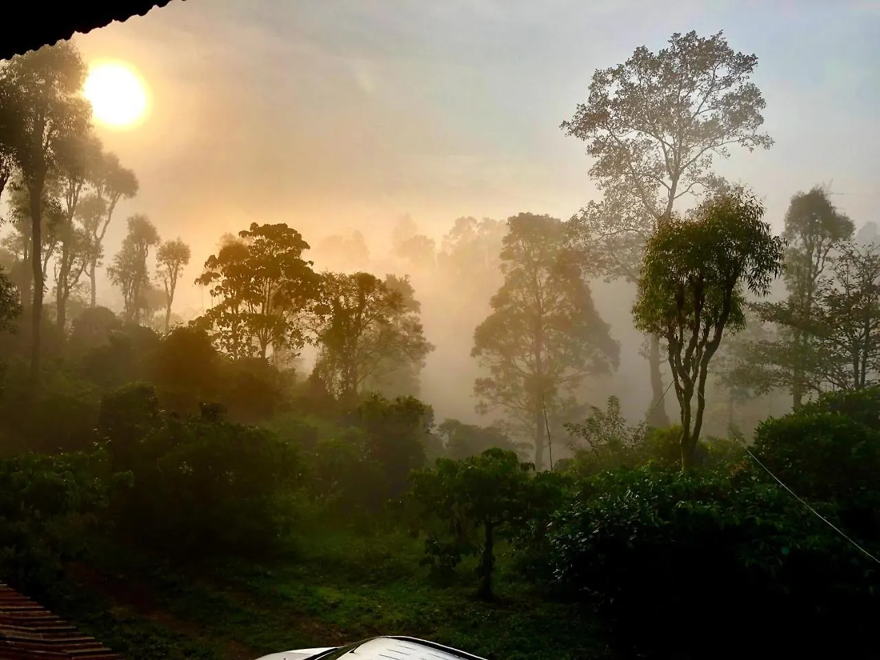 ***  Cg-Ala The Coffee Grove Otel Vythiri Hindistan