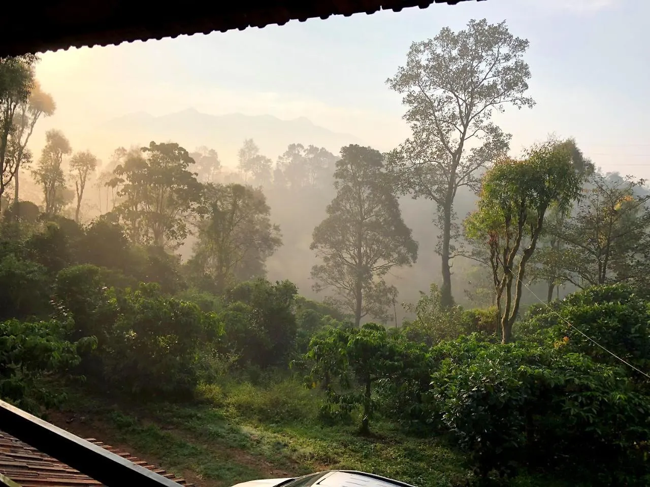 Cg-Ala The Coffee Grove Otel Vythiri Hindistan