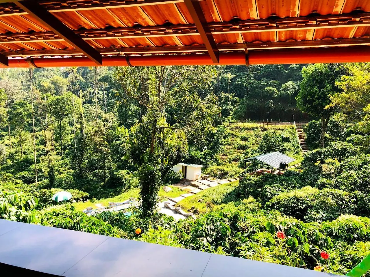 Cg-Ala The Coffee Grove Otel Vythiri